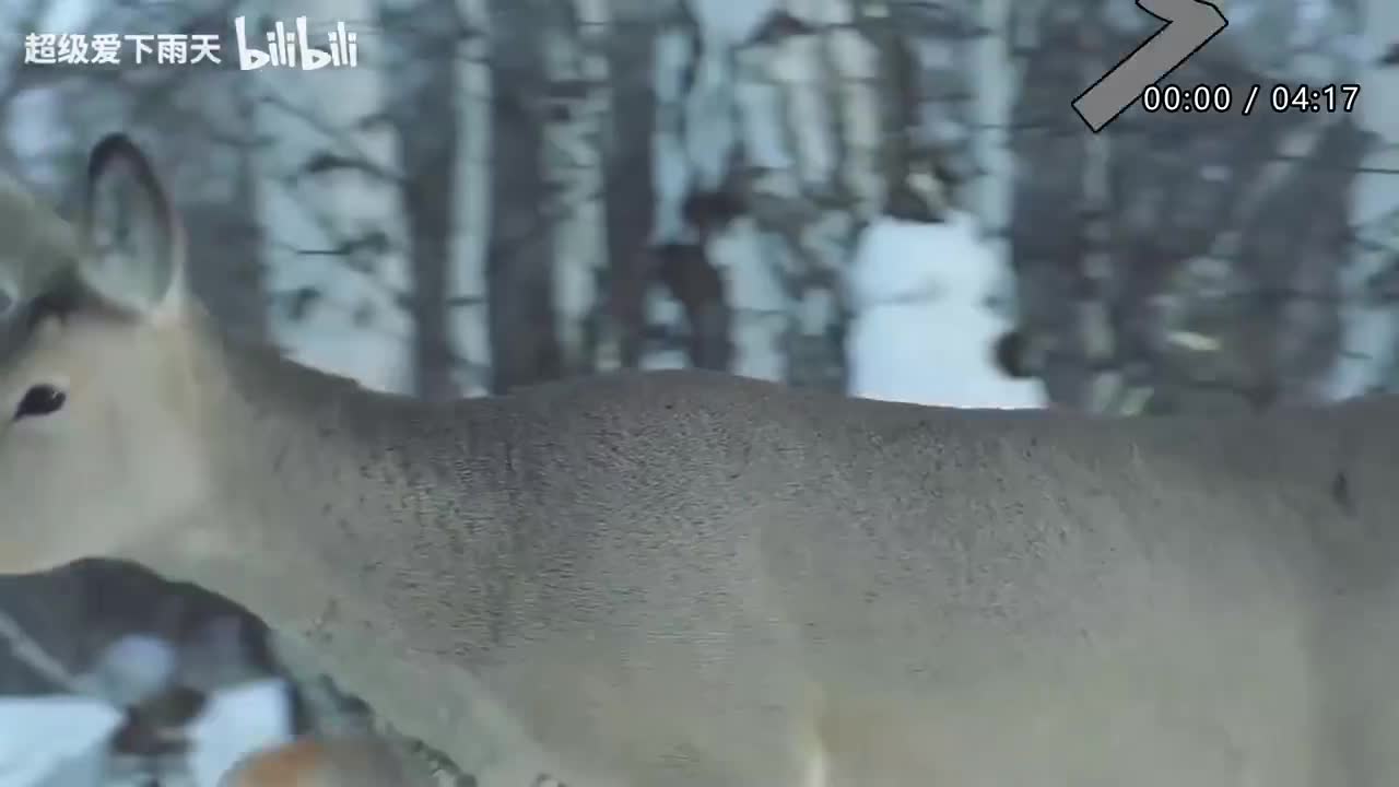 002.阿杜-我会好好过