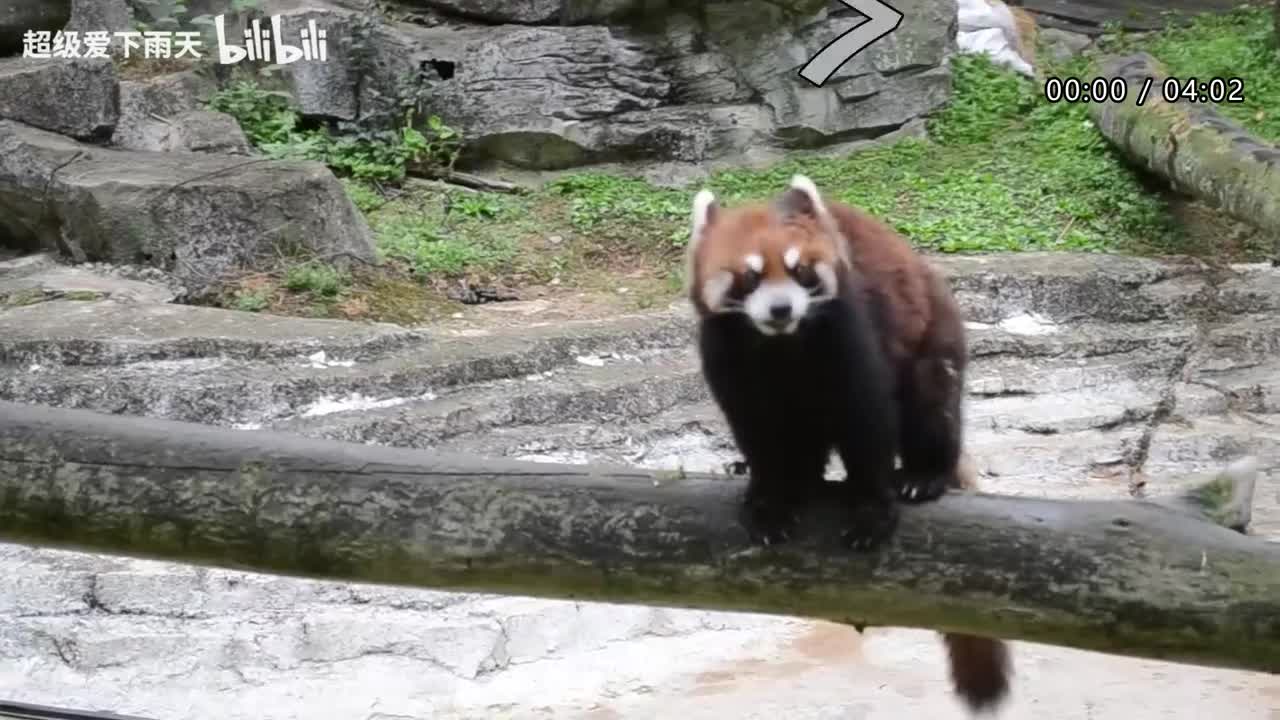 093.胡夏_金莎-被风吹过的夏天