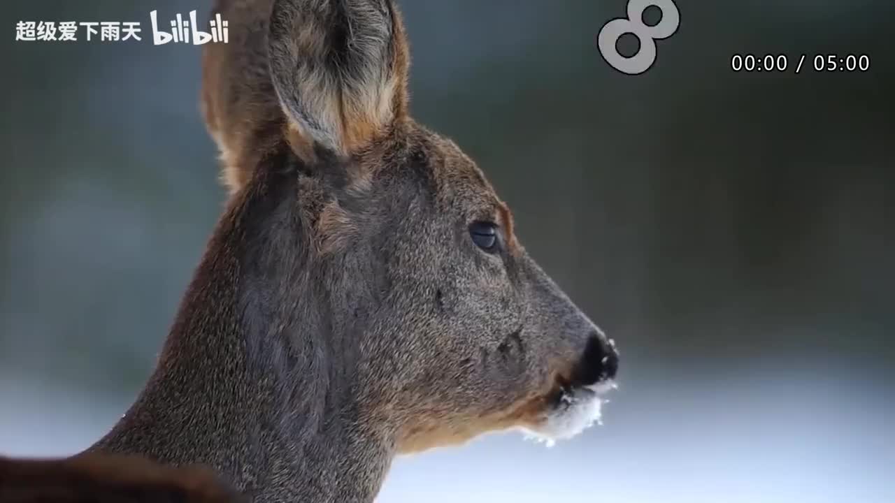 001.林志炫-这世界那么多人