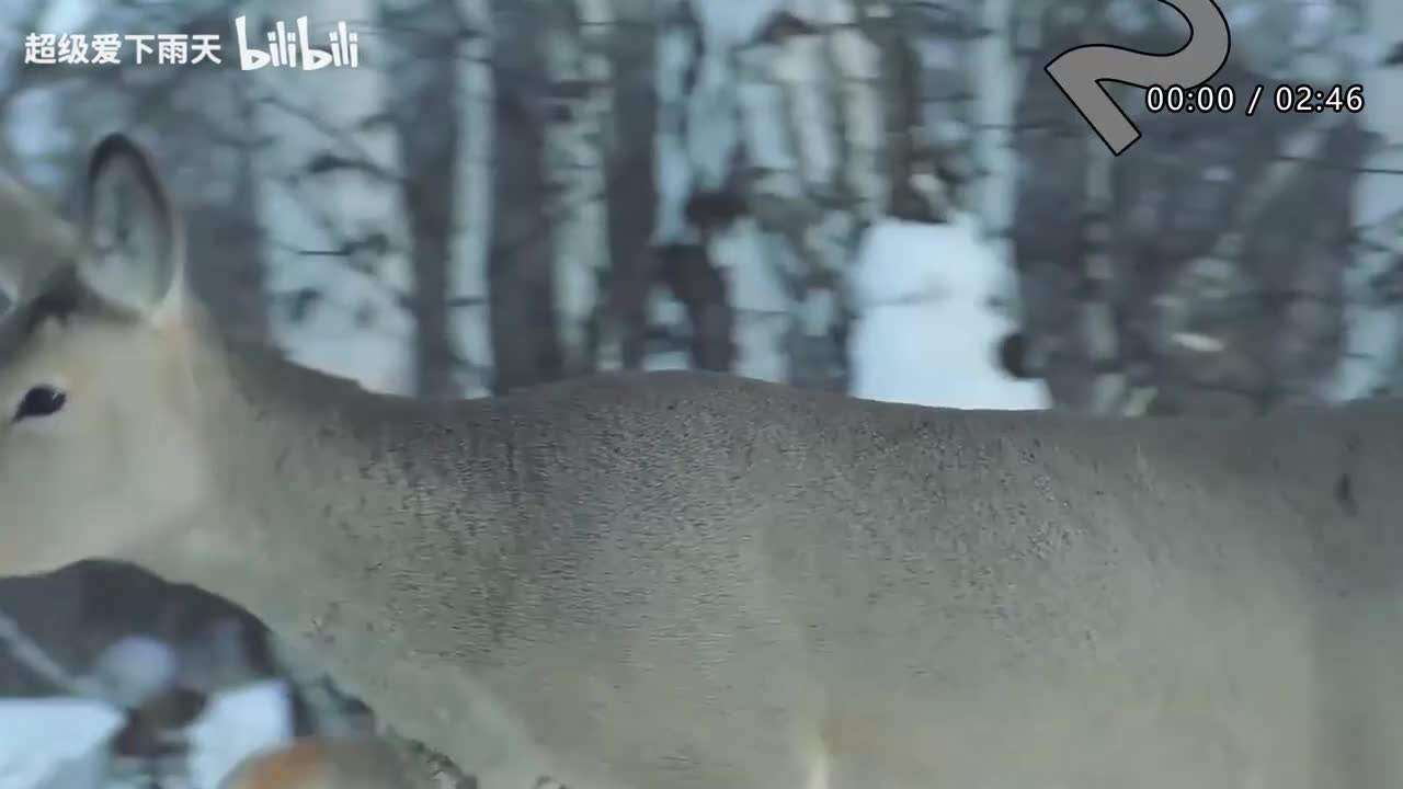102.田震-玩儿个痛快