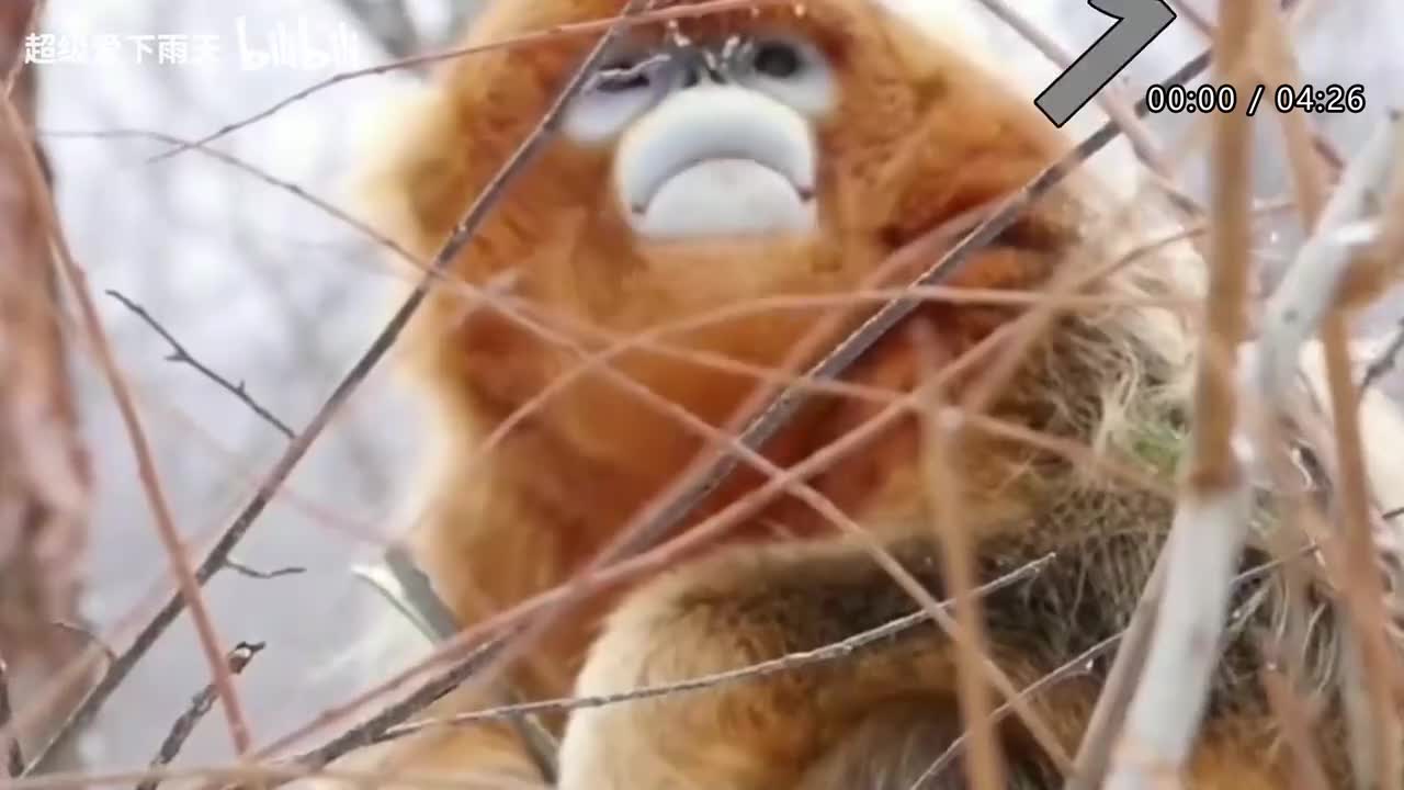 118.郁可唯-稳稳的幸福