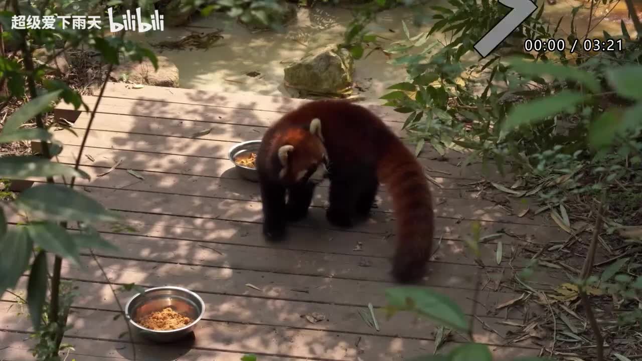 111.谭咏麟-最炫民族风