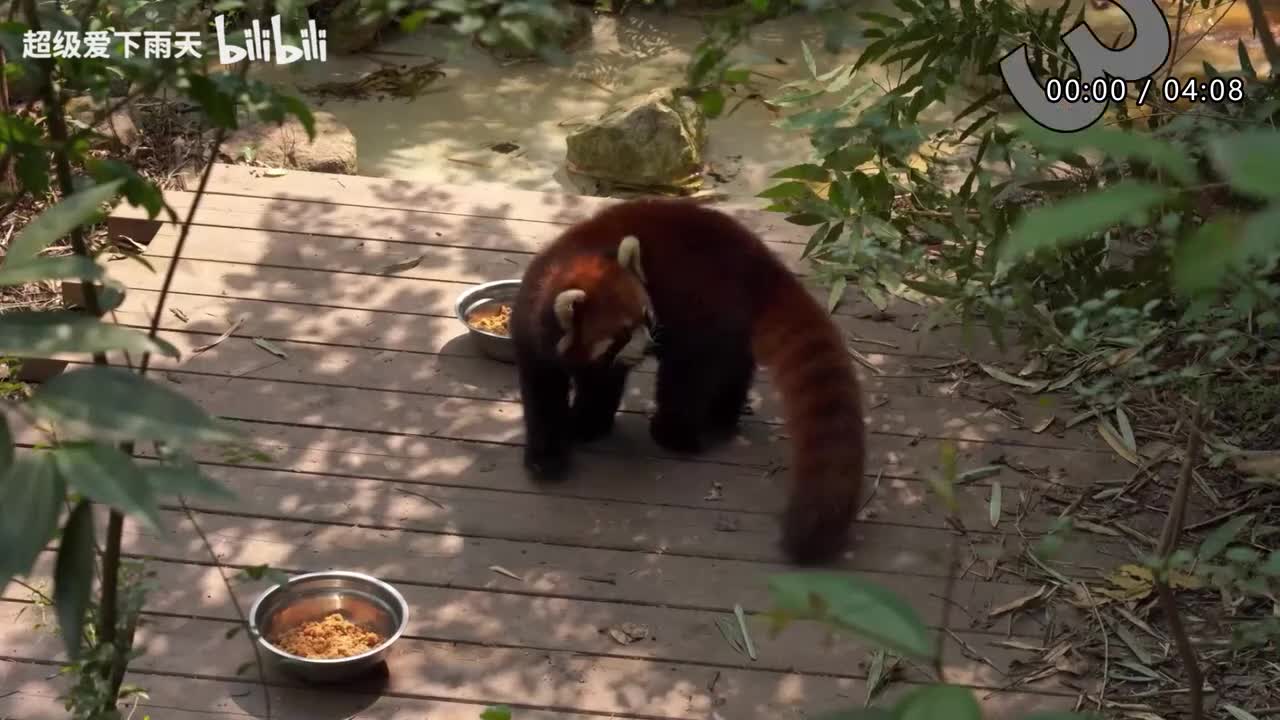 131.张真源-靠近我