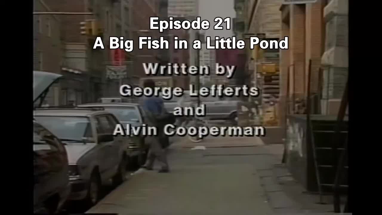 重制高清版 Family Album USA E21走遍美国 第21集 中英字幕 重温经典英语教材