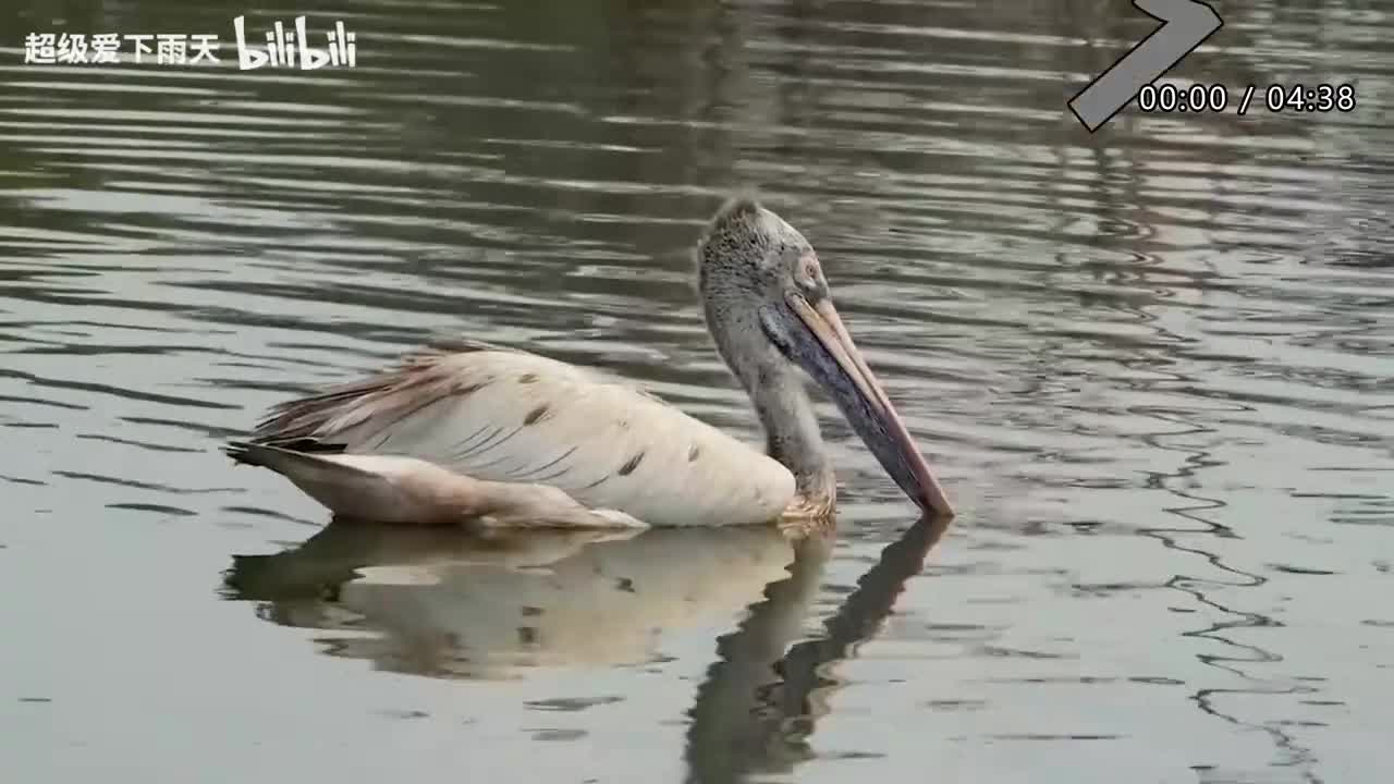 099.张杰-我们都一样