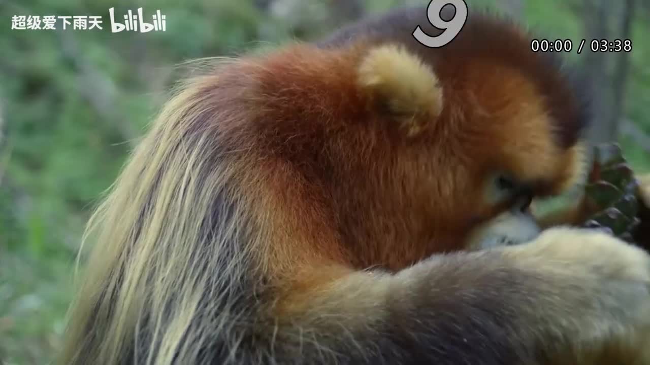 128.黄绮珊-生活总该迎着光亮