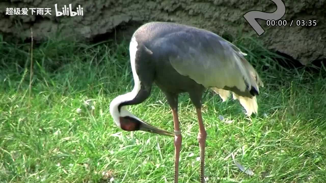 120.梁咏琪-坚持到底