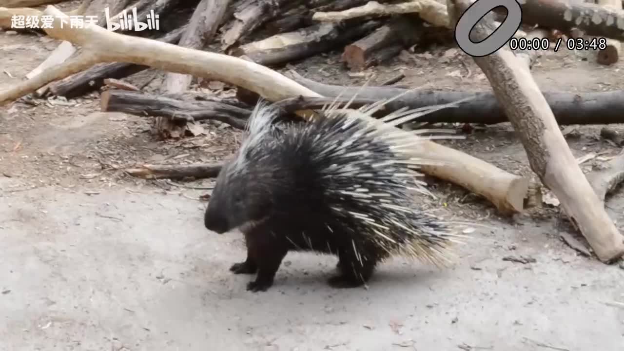 067.郁可唯-再度重相逢