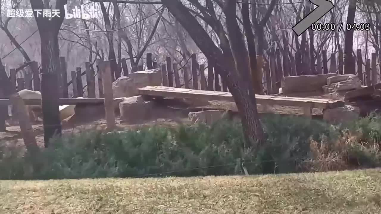 016.林志炫-知否知否