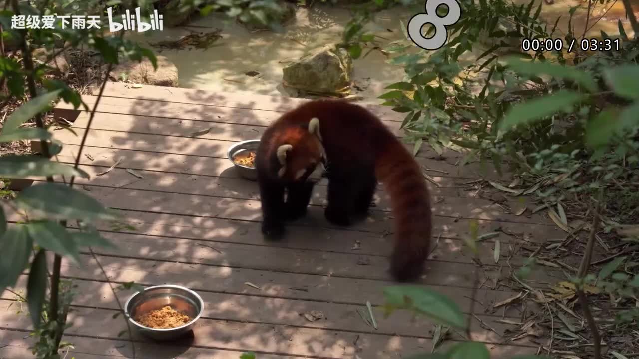 091.郁可唯-没有情人的情人节