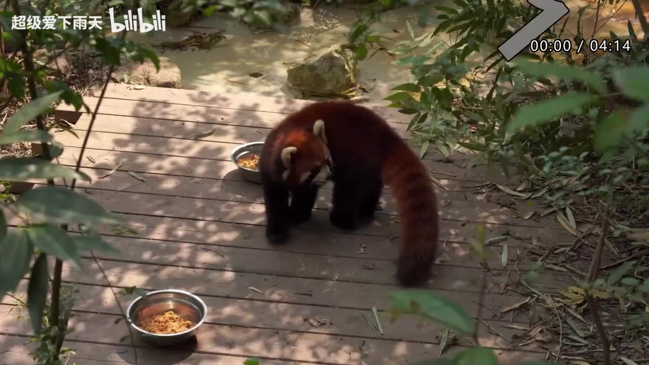 051.张杰-春天花会开