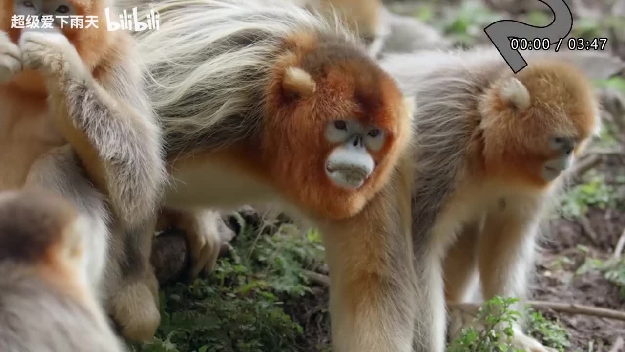 084.李玖哲-想太多