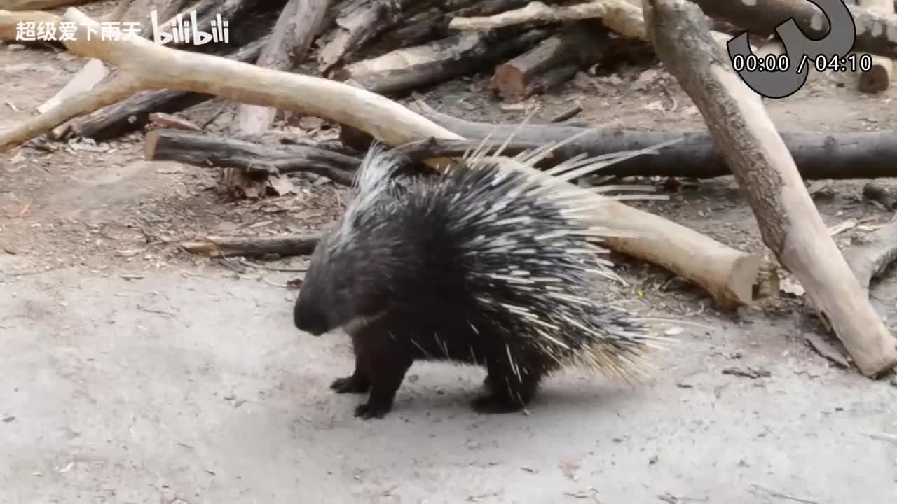 047.胡海泉-无题