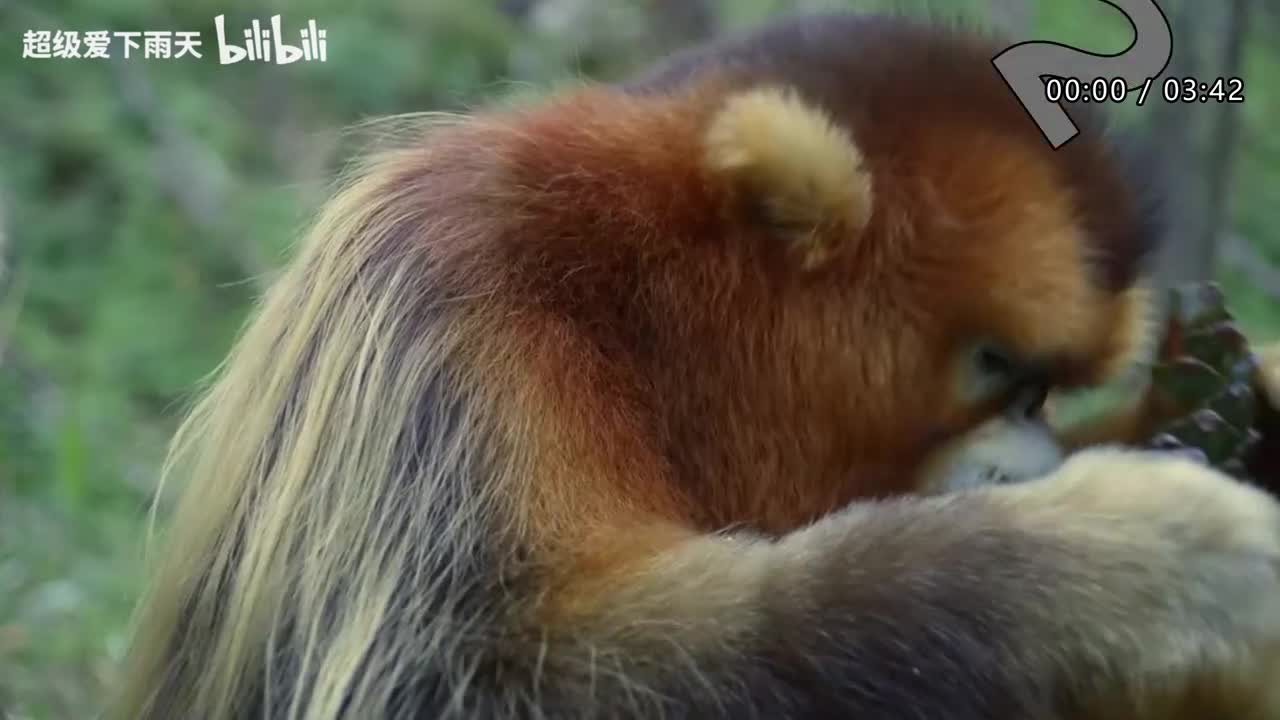 068.张杰-月亮之上