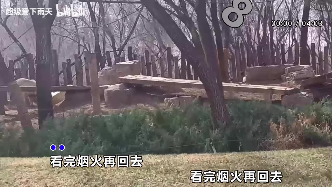 076.许茹芸-看完烟火再回去