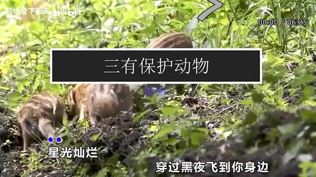 045.杨魏玲花_罗中旭-星光灿烂