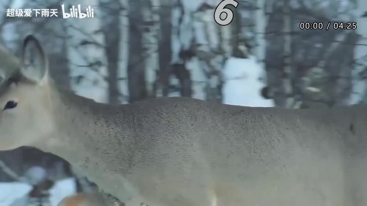 042.林志炫-输了你赢了世界又如何