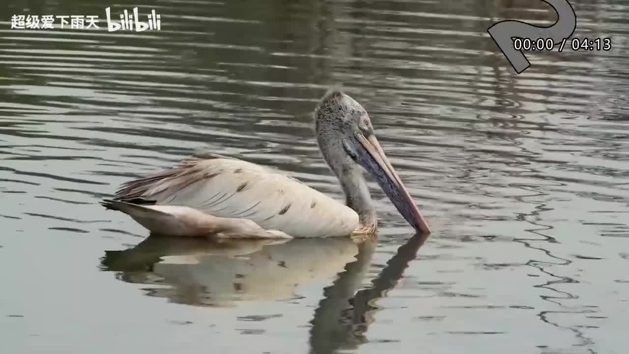 079.范世錡-有时候