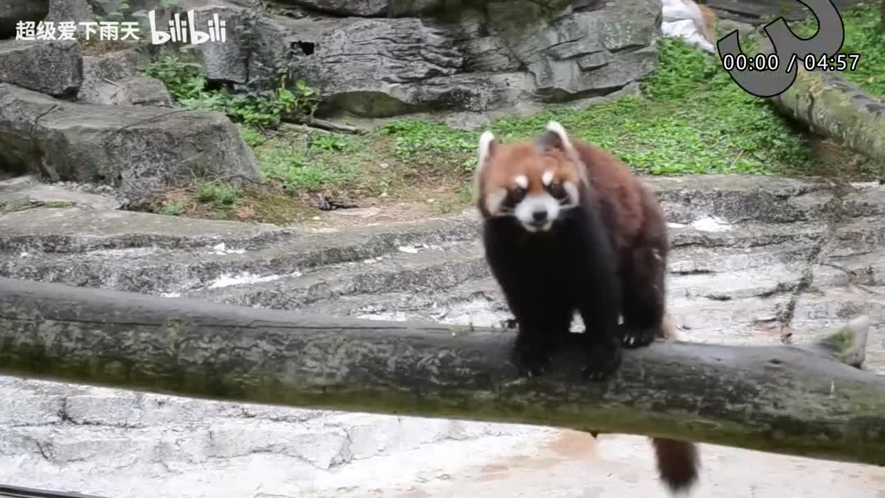 073.郁可唯-电梯