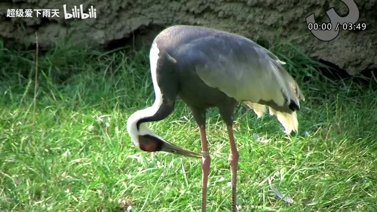 060.范世錡-放手