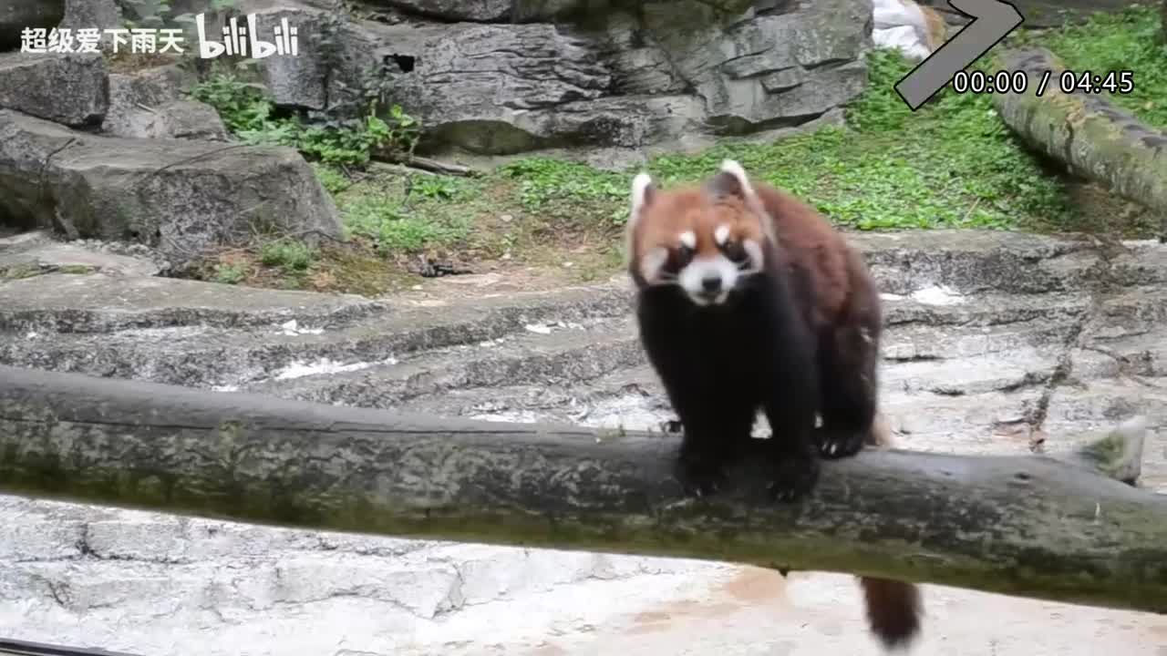 033.谭咏麟-莫名的泪