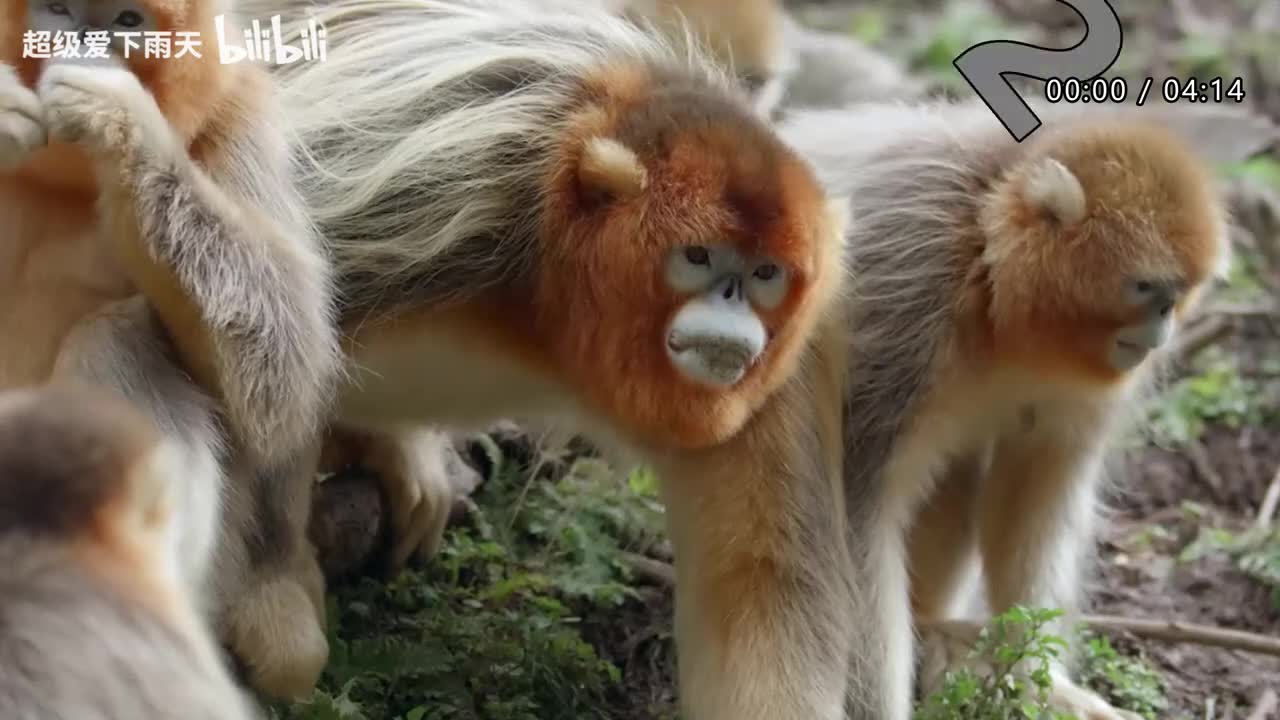 184.谭咏麟-路过人间