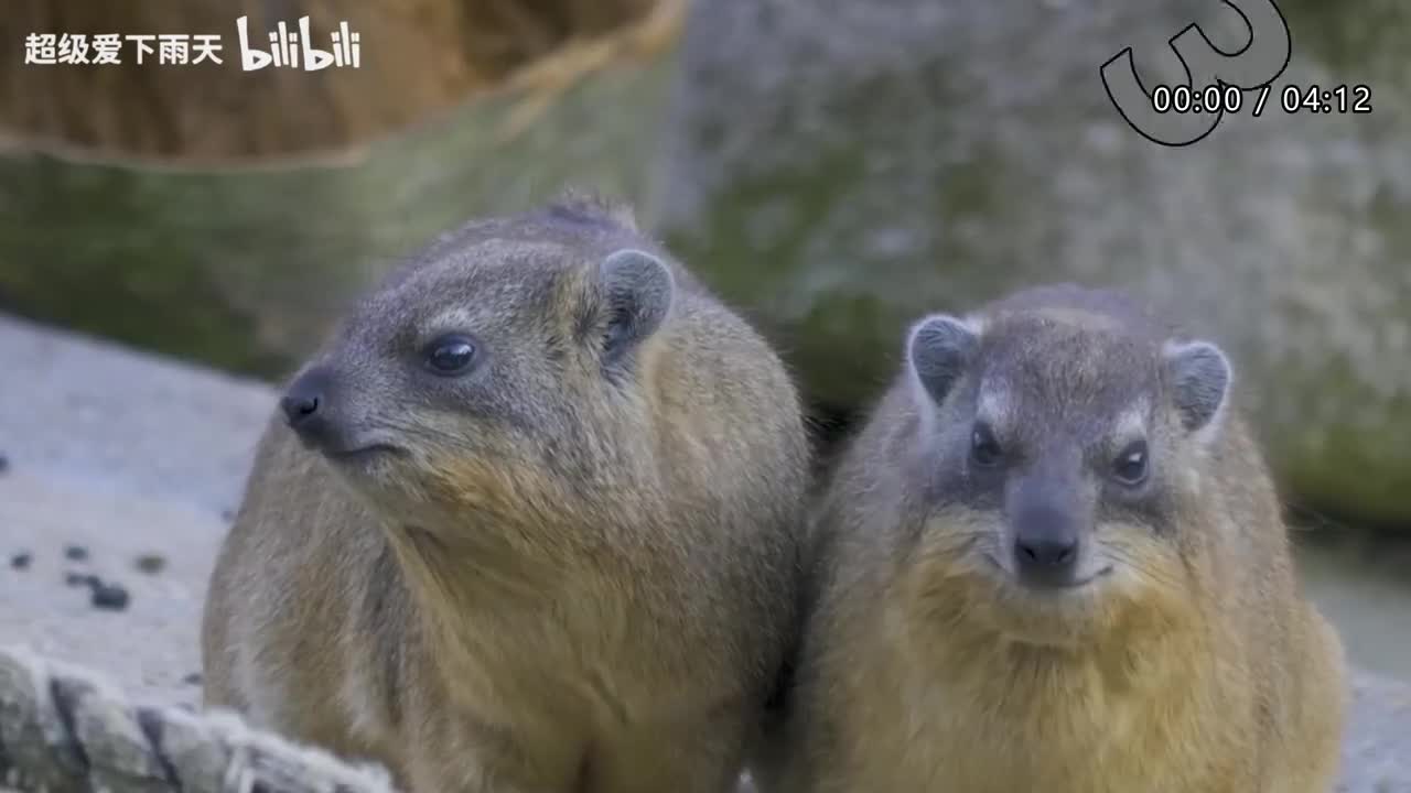 146.田震-红尘客栈