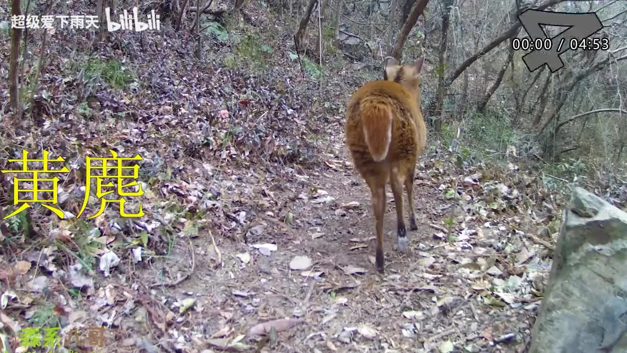 189.孙悦-不想睡