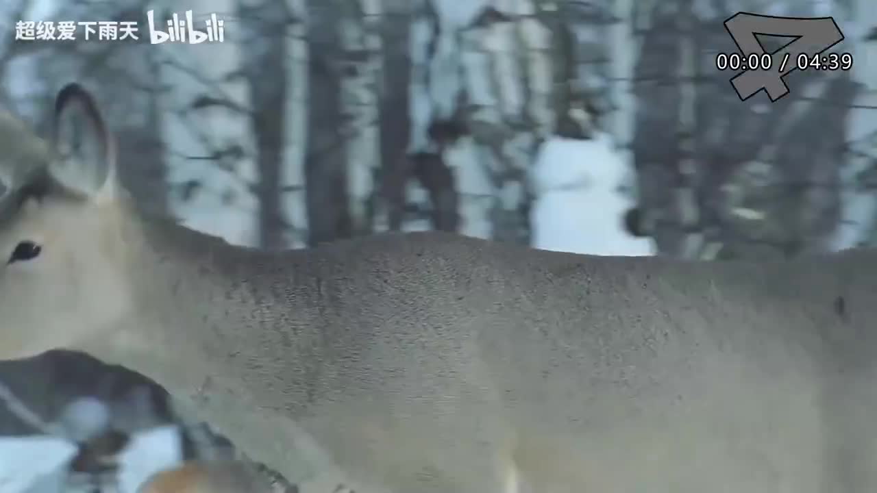 142.林志炫-天涯