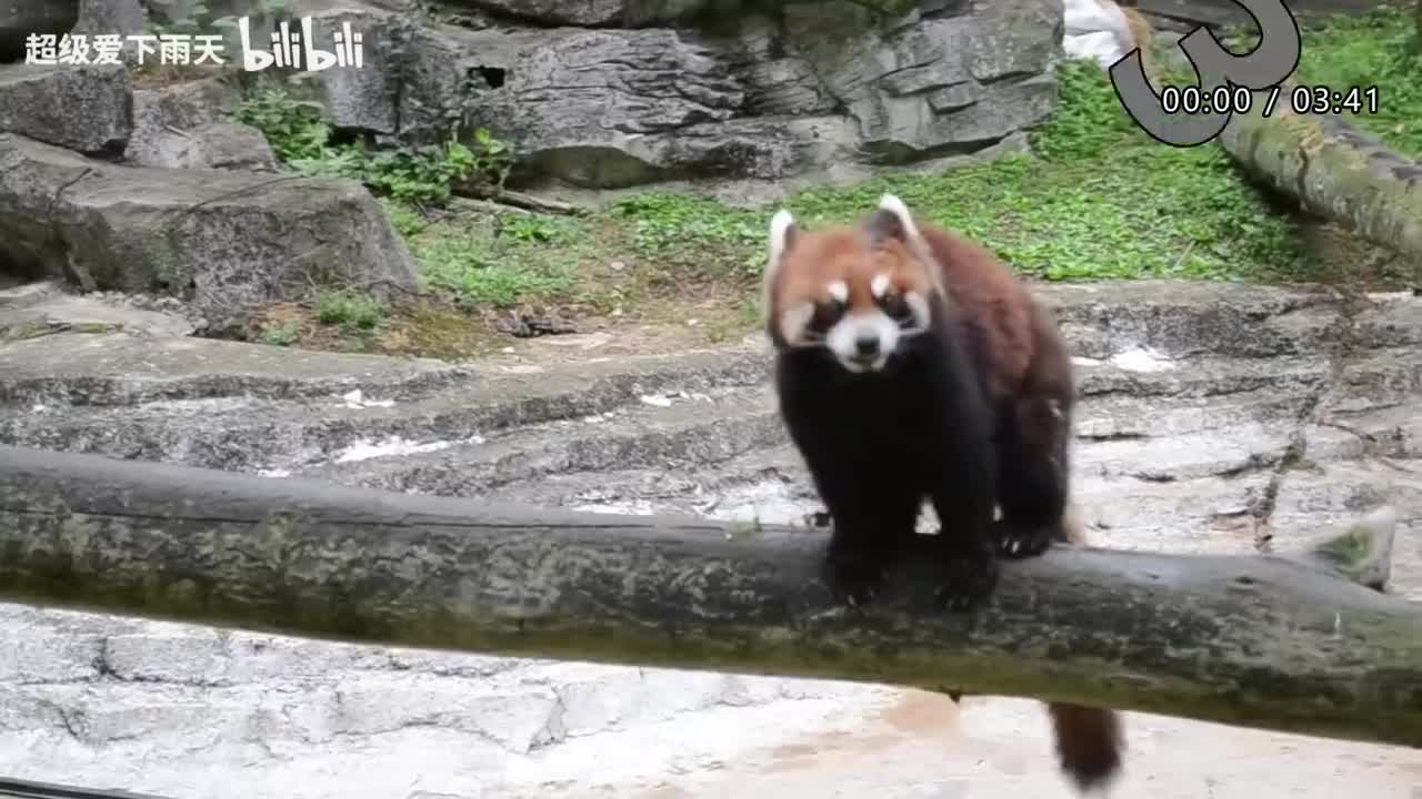 173.郁可唯-他不懂