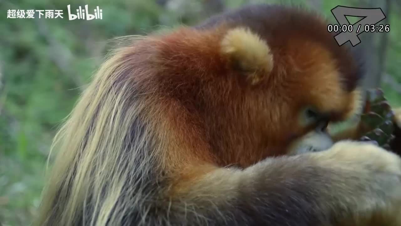 168.何炅-爱人啊