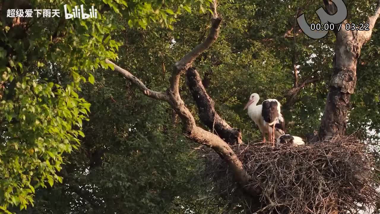 137.孙悦-直来直往