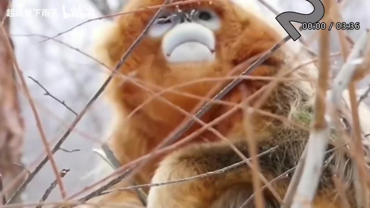 138.廖昌永-东方之珠