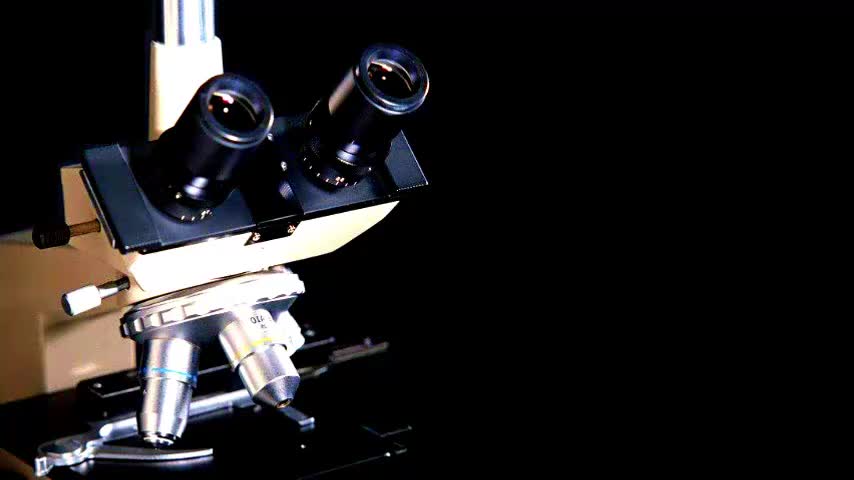 1.1.2 生物的其他特征和观察法