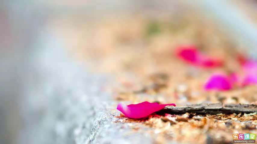 1.2.5 生态系统的组成