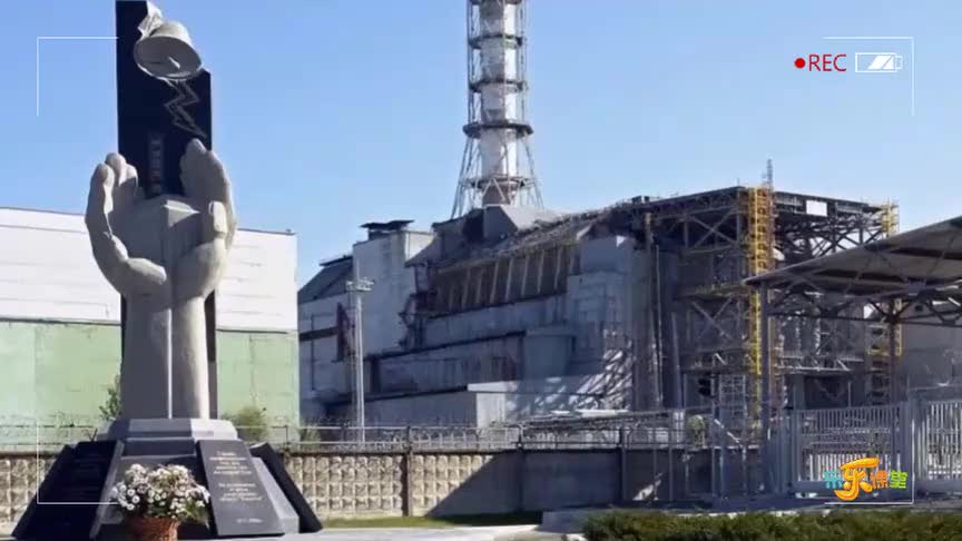 4.7.3 环境污染对生物的不良影响