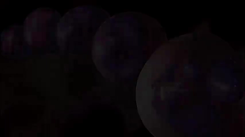 2.2.10 单细胞生物及与人类生活的关系