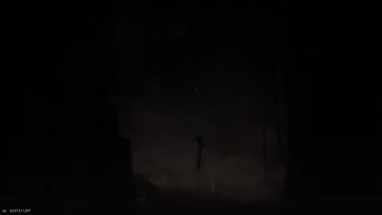 【清河】无相皇