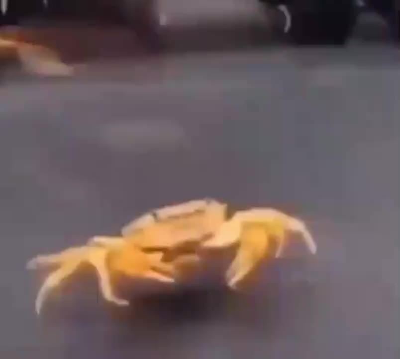 money money money额啊——