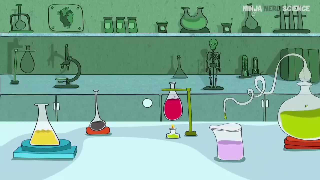 (27)Ascending Tracts Spinocerebellar Tract 6gqJMcNpNgA_压制版