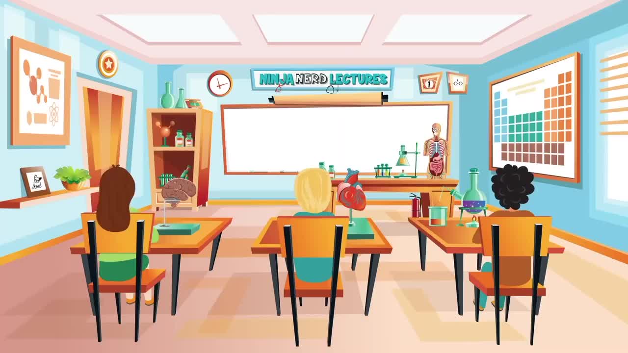 (29)Neurology Descending Tracts Corticobulbar Tract Eyl0ihAd-1Y_压制版