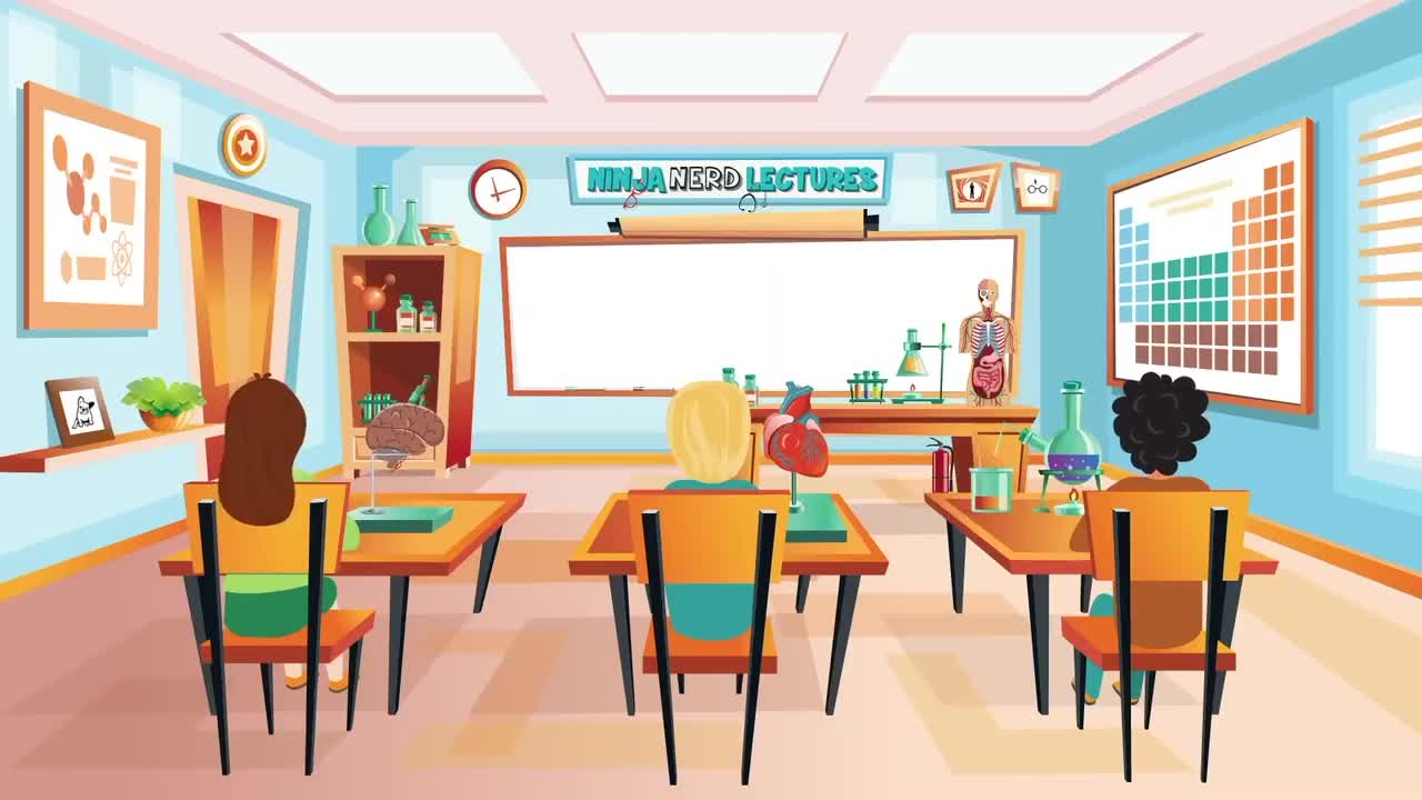 (39)Neurology Spinal Cord Golgi Tendon Organ Reflex (GTO) CzeAcc39Cyo_压制版