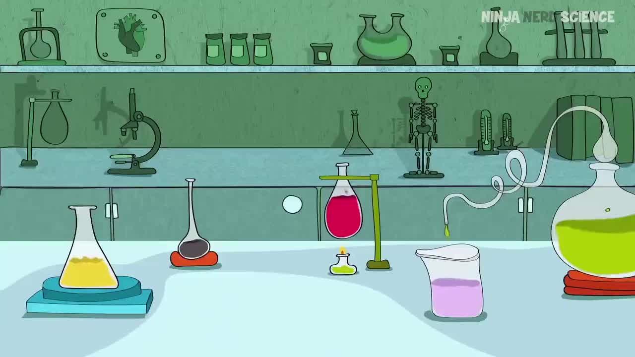 (41)Neurology Autonomic Nervous System 7dZHmKMLdC0_压制版