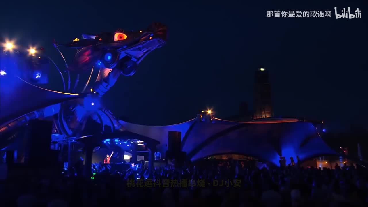 17. 桃花运抖音热播串烧 - DJ小安