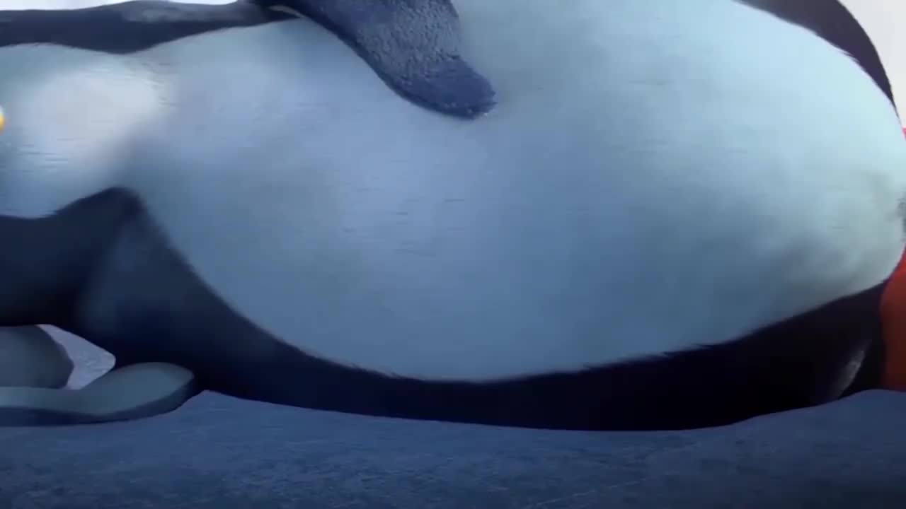 24-儿歌 Hungry Penguin