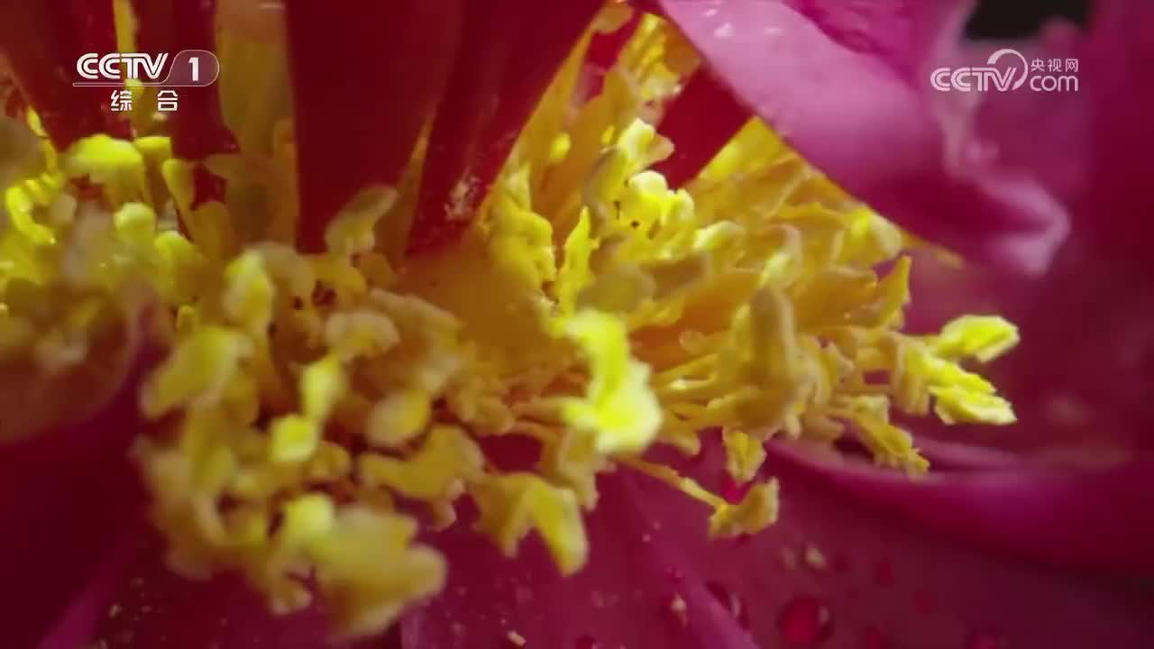 第6集 十方九归