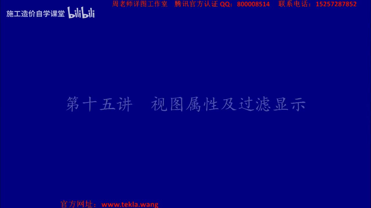 15视图属性及过滤显示.mp4.flv