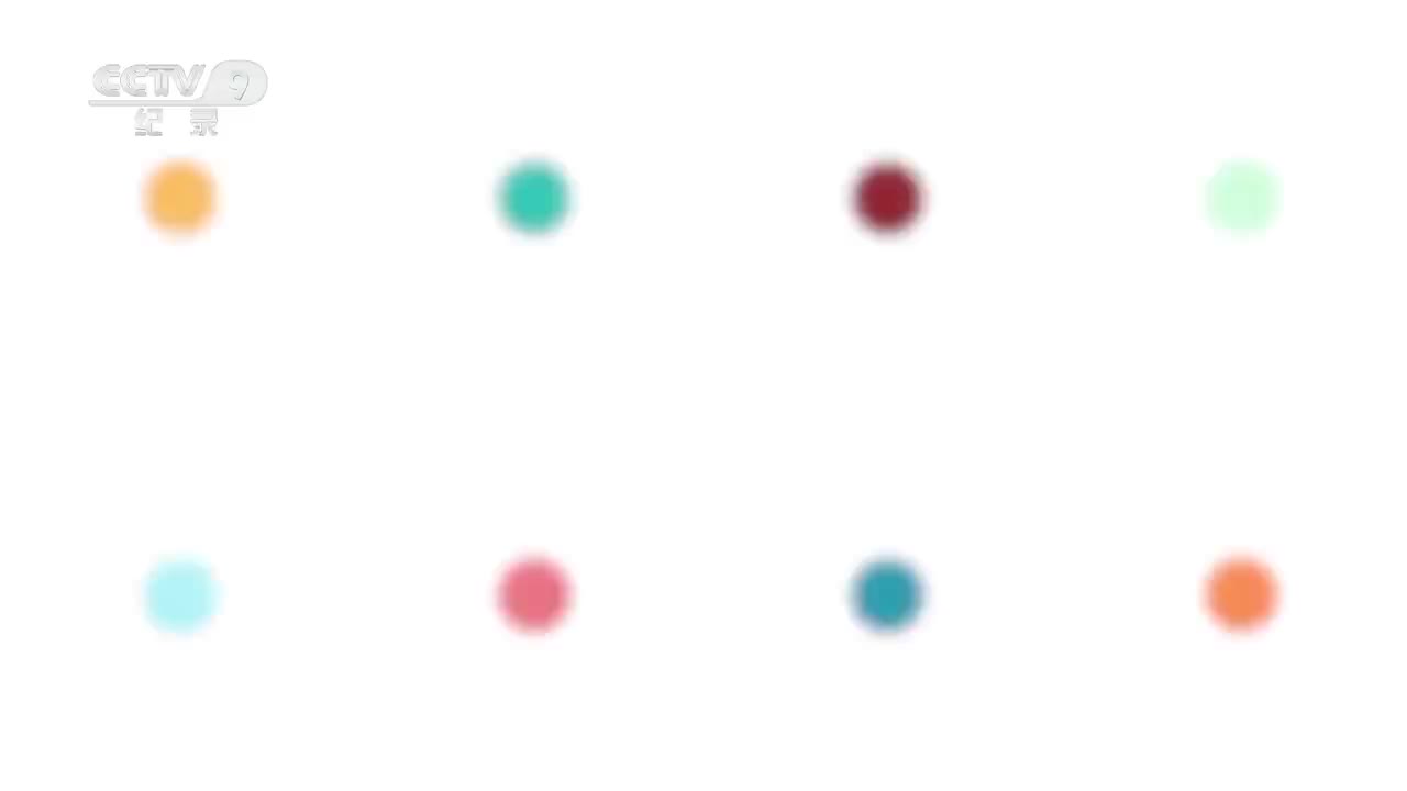 第6集 你真了不起