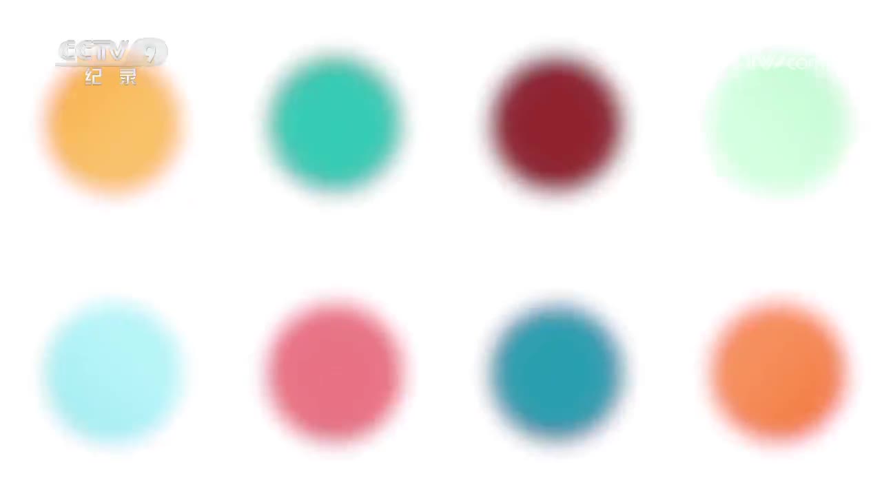 第1集 动物明星上线