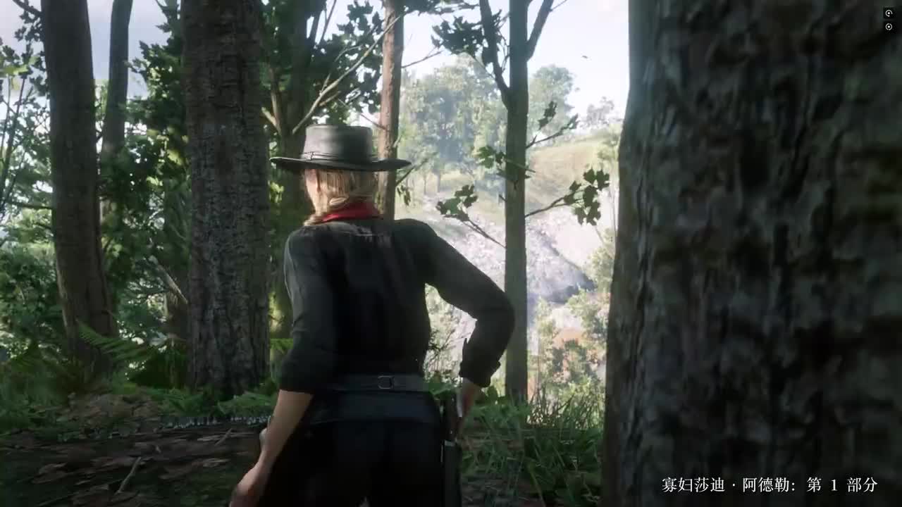 78.寡妇莎迪阿德勒 莎迪